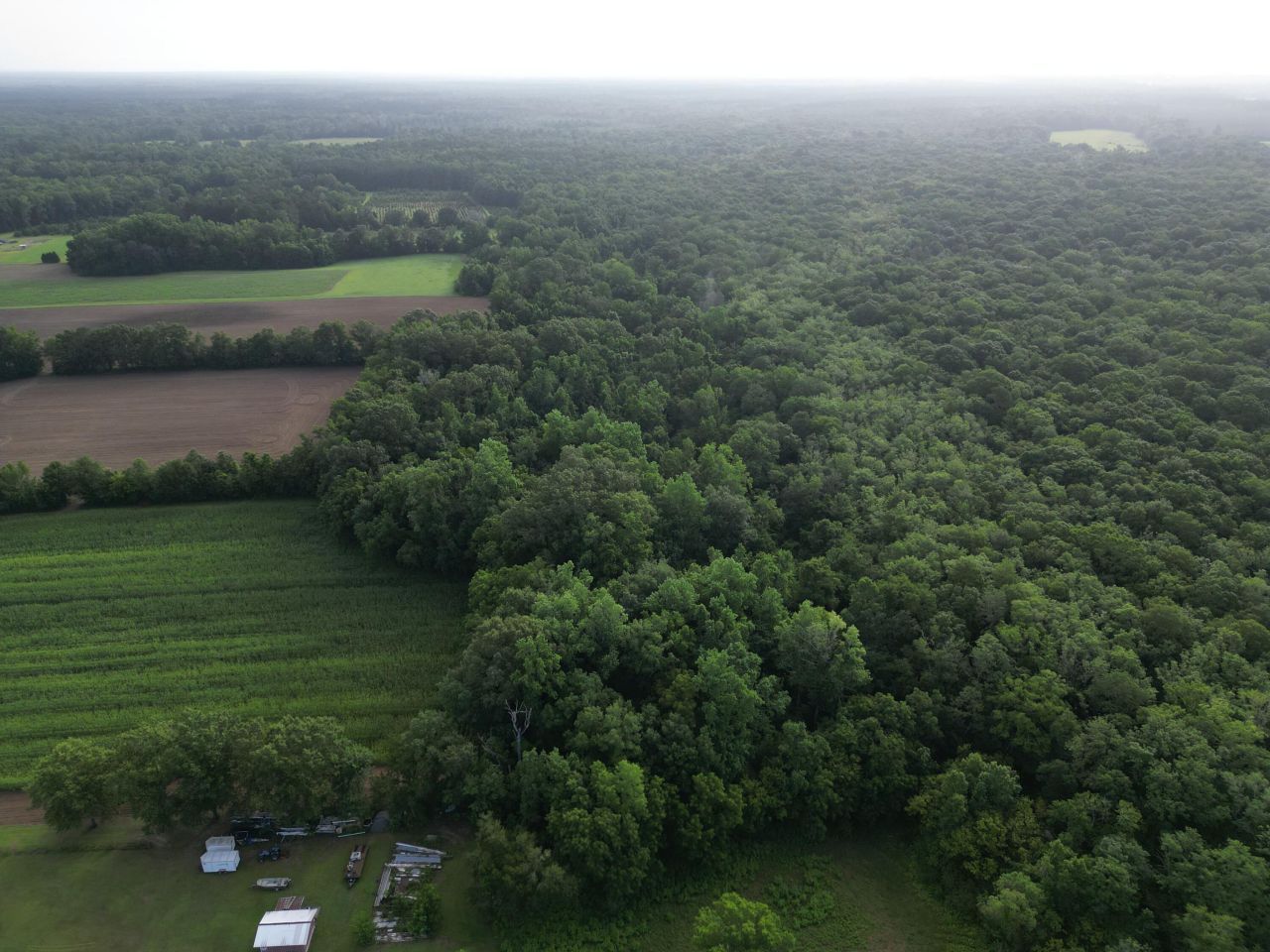 000 Cypress Campground Road Photo 19