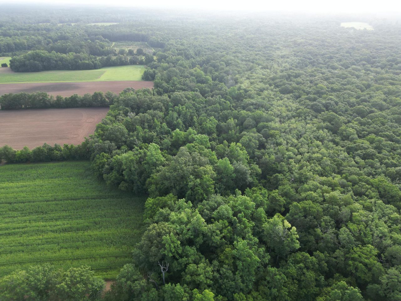 000 Cypress Campground Road Photo 20