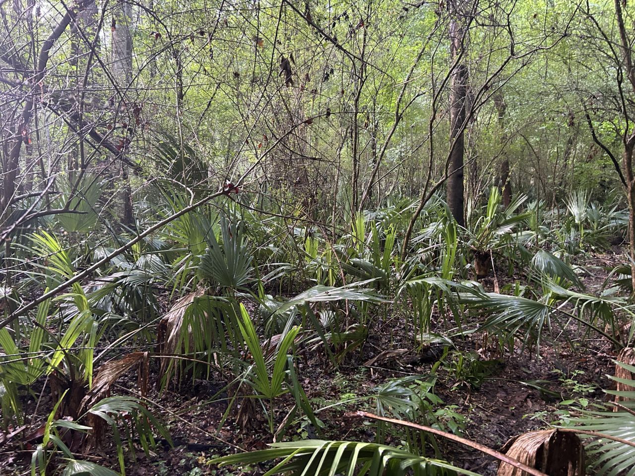 000 Cypress Campground Road Photo 21