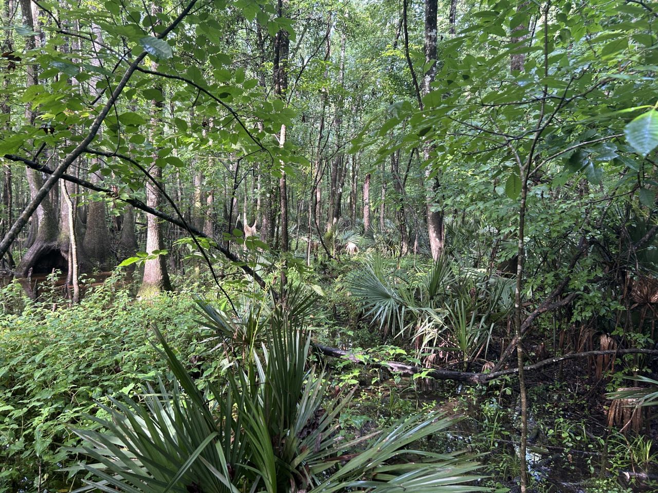 000 Cypress Campground Road Photo 27