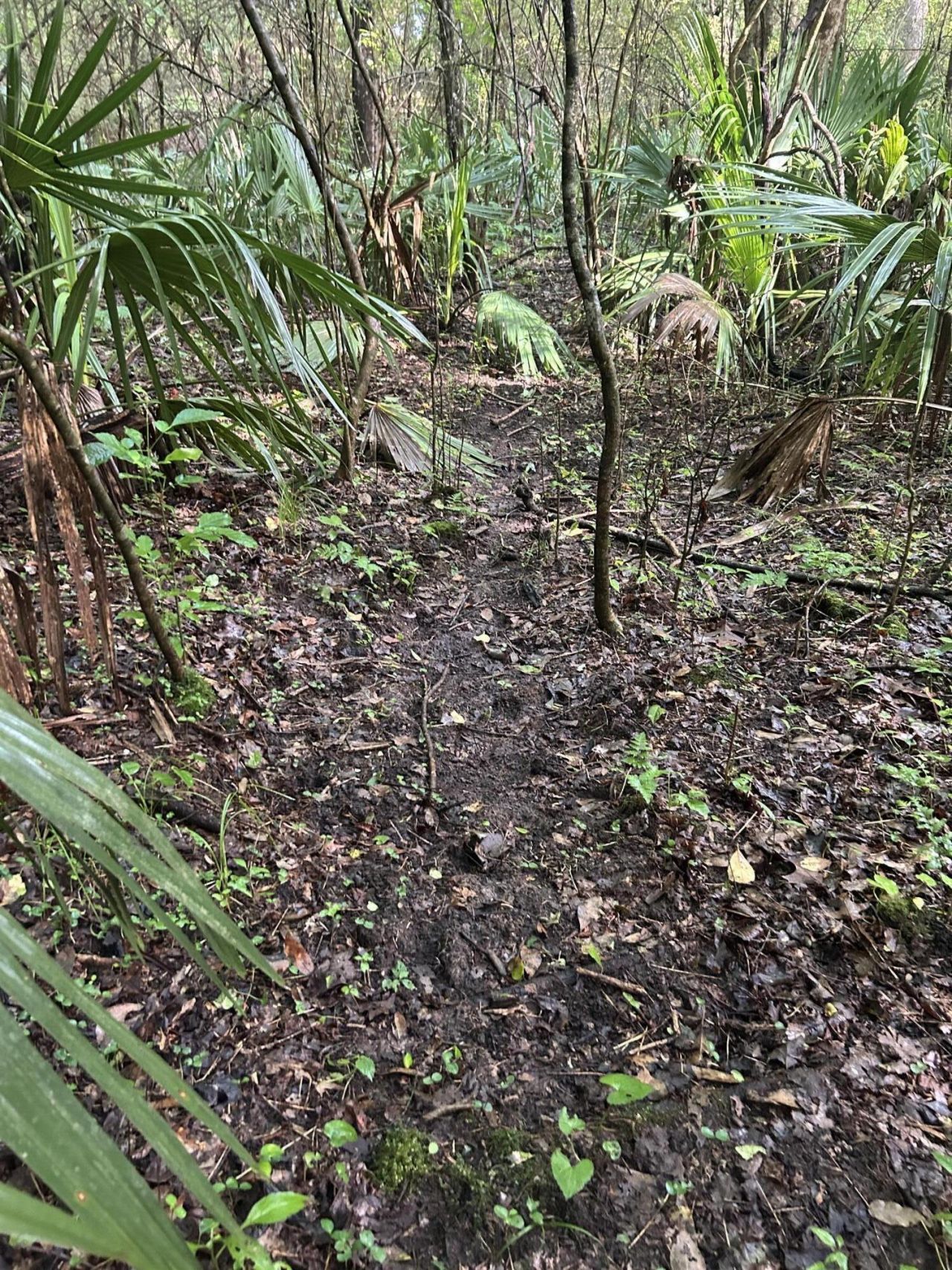 000 Cypress Campground Road Photo 28