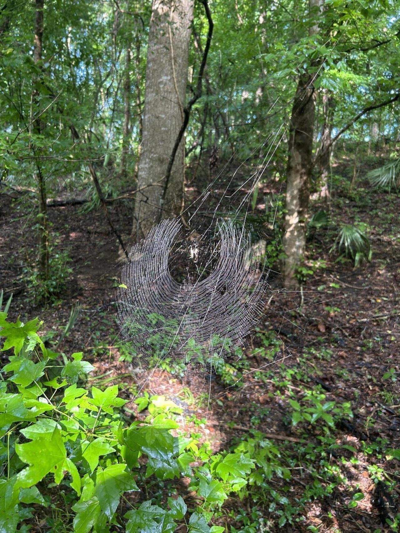 000 Cypress Campground Road Photo 29