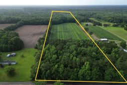 000 Cypress Campground Road photo 4