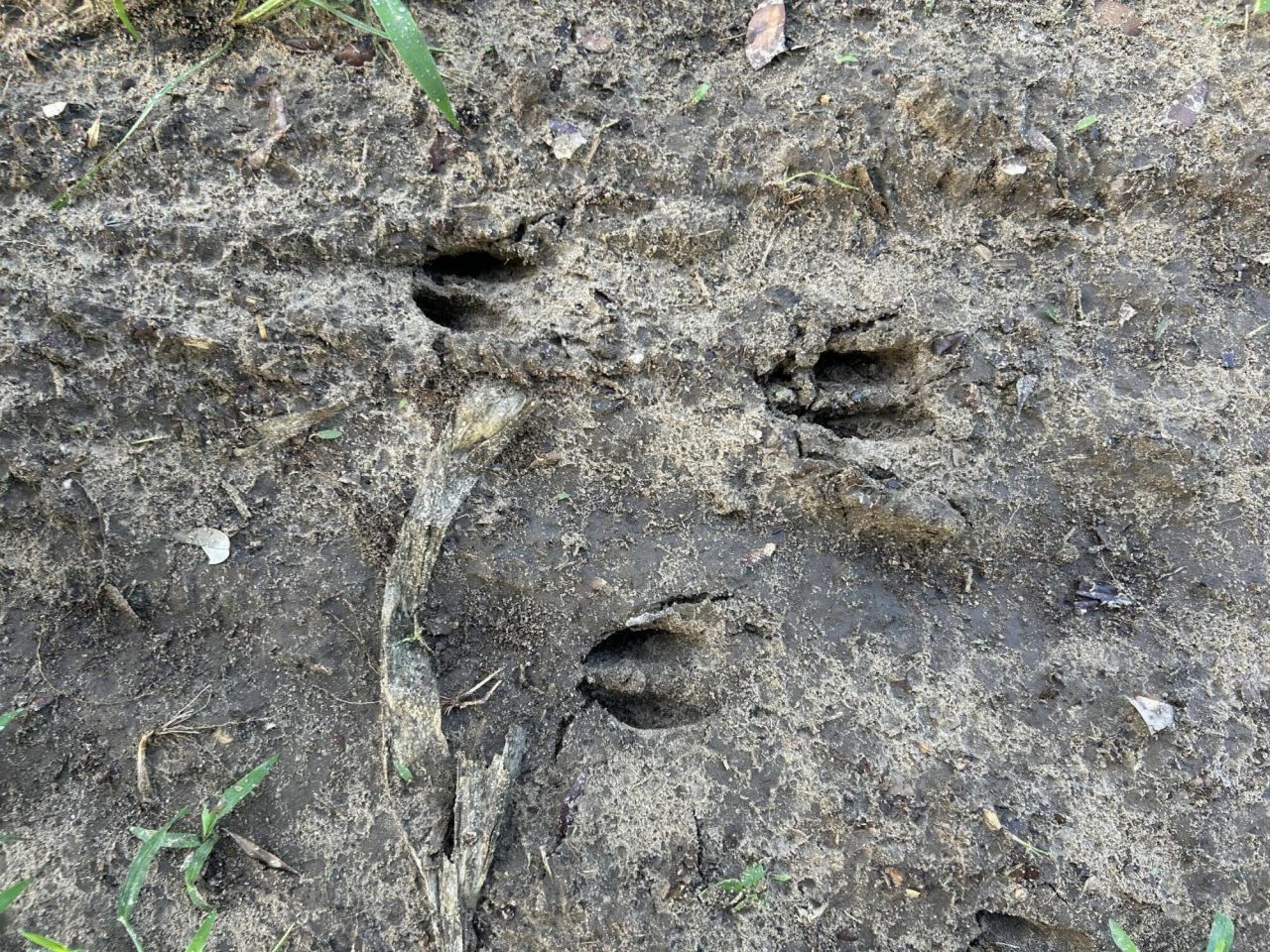 000 Cypress Campground Road Photo 33