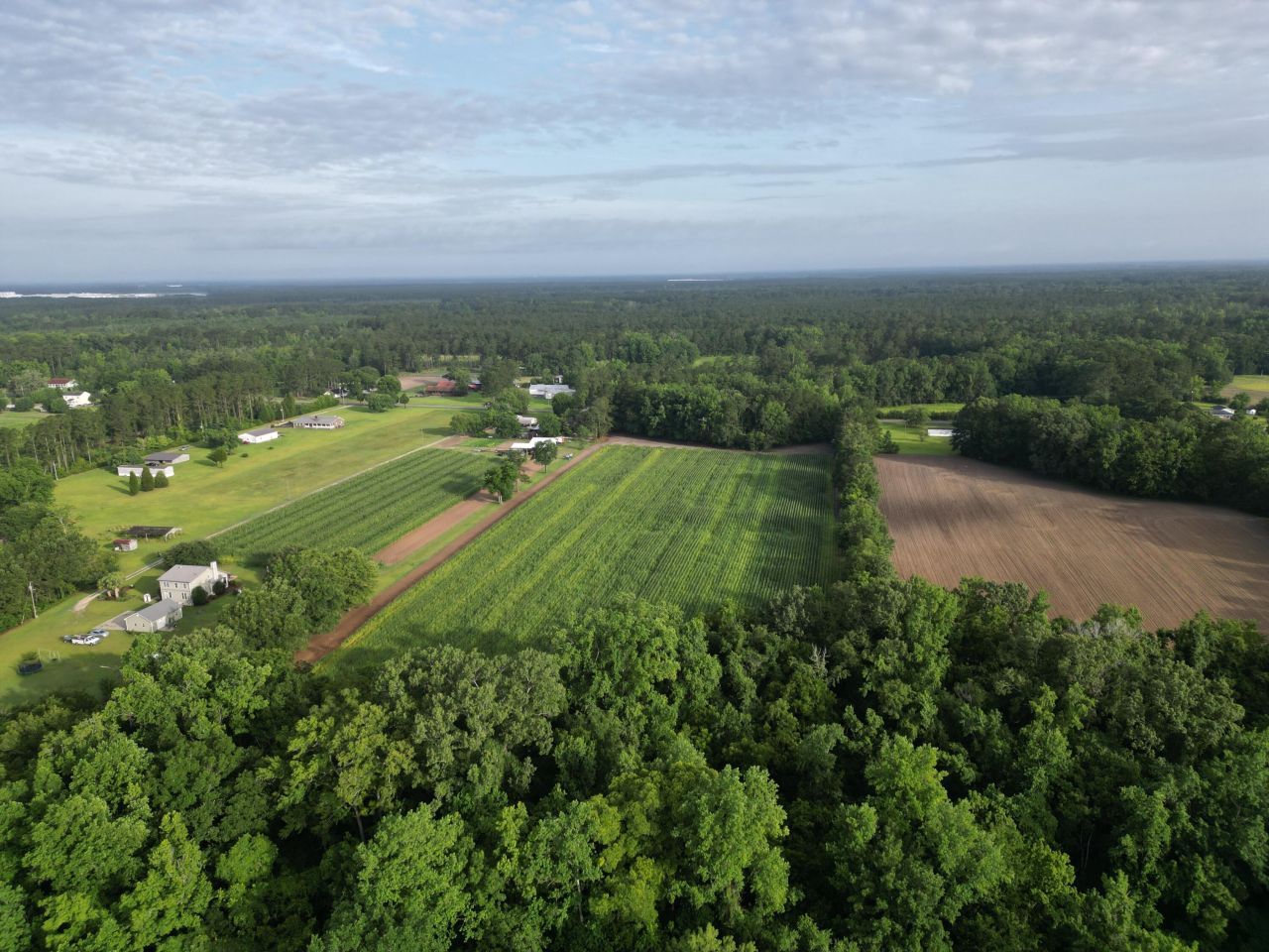 000 Cypress Campground Road Photo 4