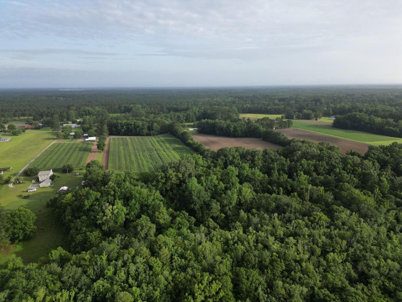 000 Cypress Campground Road Photo 5