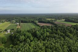 000 Cypress Campground Road photo 4