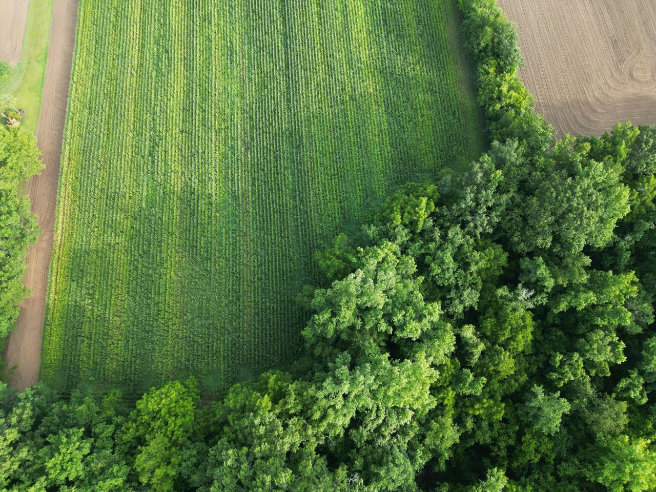 000 Cypress Campground Road Photo 6