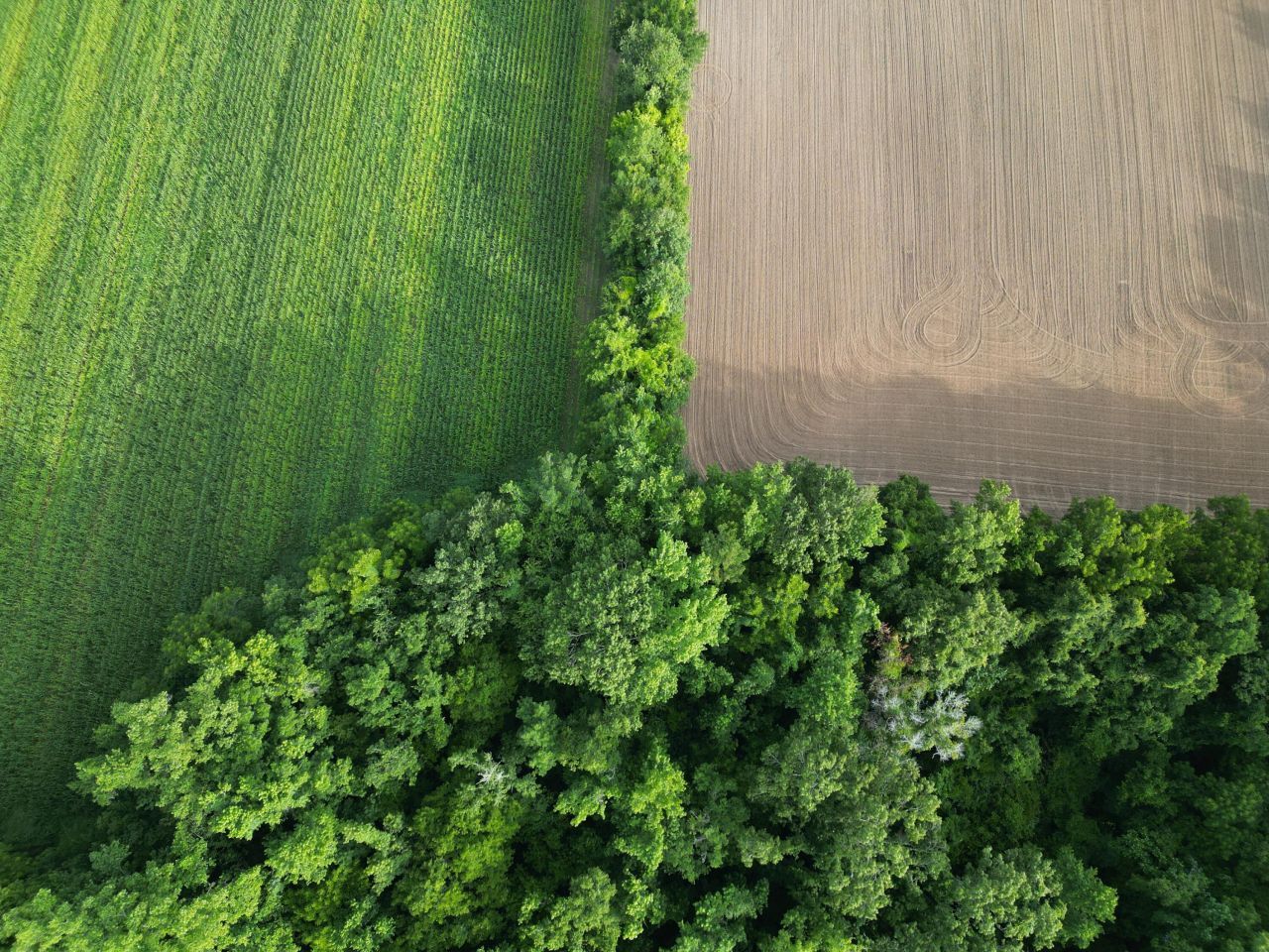 000 Cypress Campground Road Photo 7