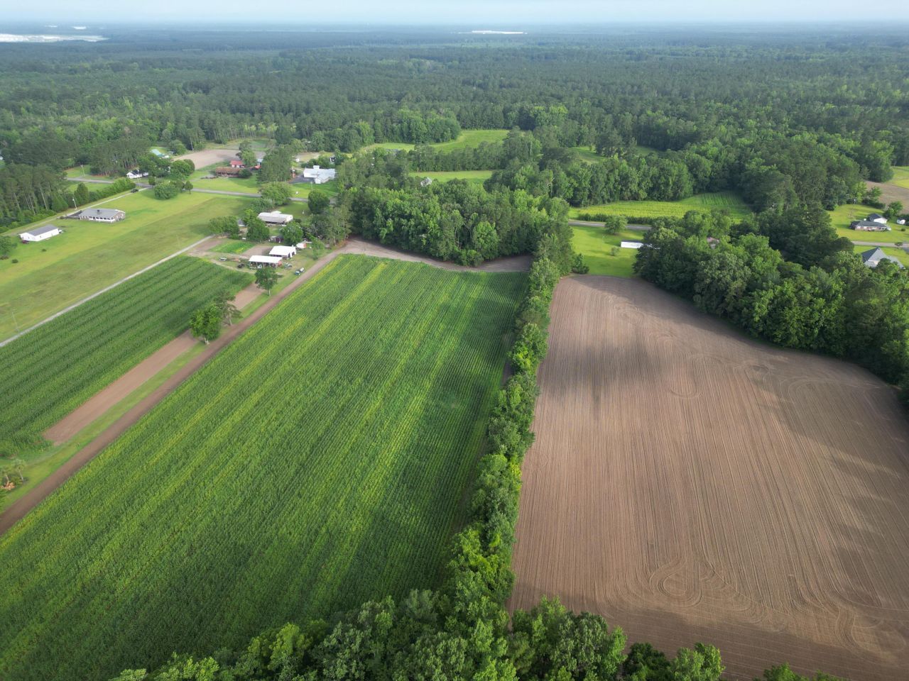 000 Cypress Campground Road Photo 8