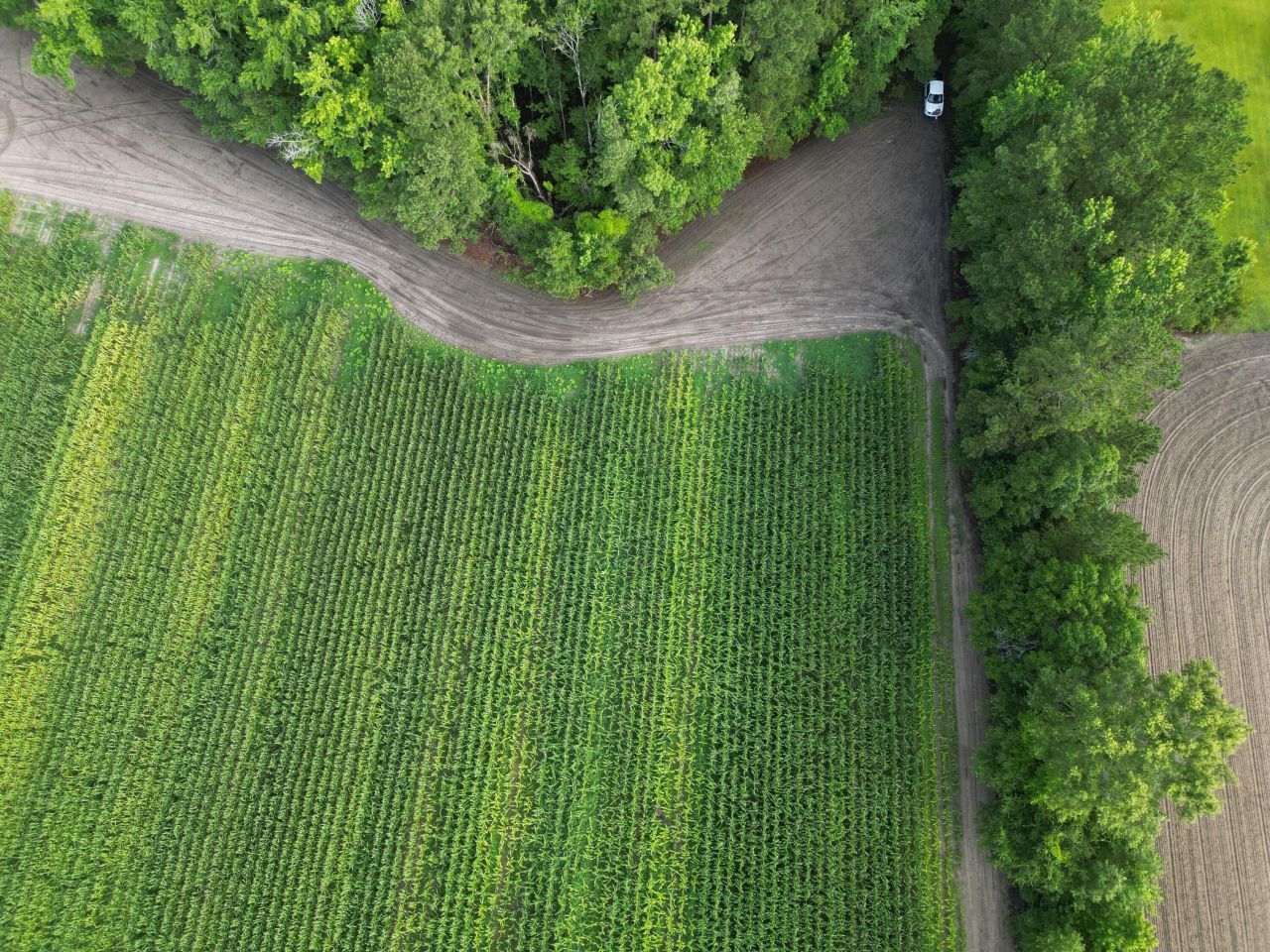 000 Cypress Campground Road Photo 9