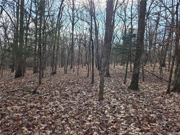 TBD Blue Mountain Road, Prairie Grove, AR 72753