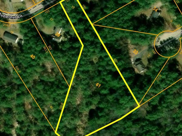 43-2-61 Butternut Lane, Tuftonboro, NH 03816