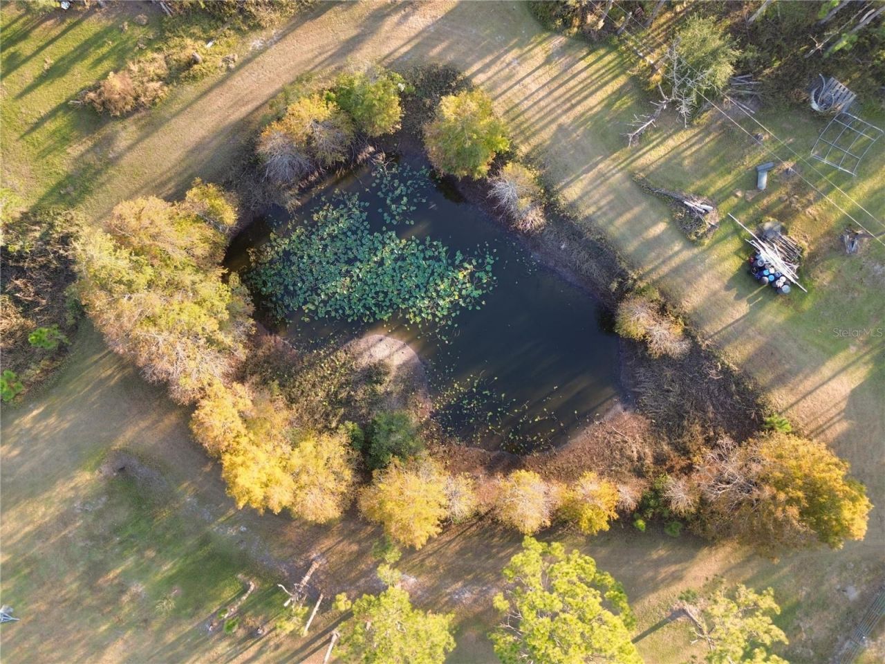 10989 NW Lily County Line Road, Ona, FL 33865 Photo