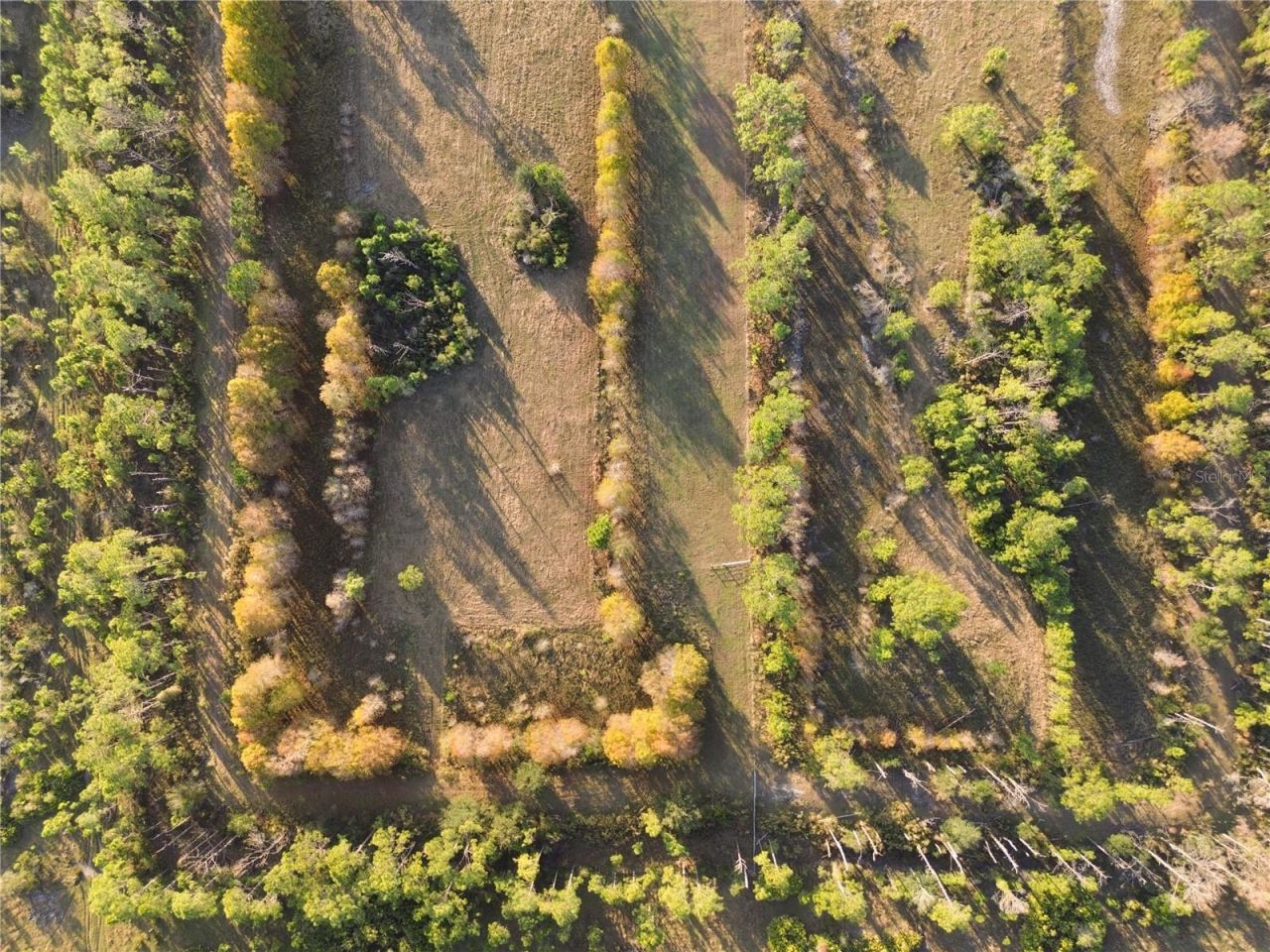 10989 NW Lily County Line Road, Ona, FL 33865 Photo