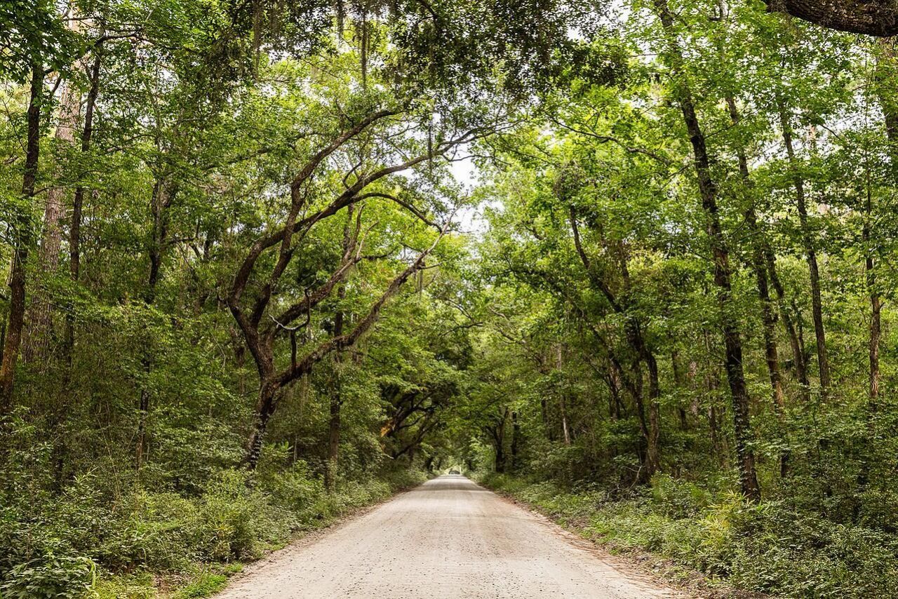 2422 Highway 174 Photo 34