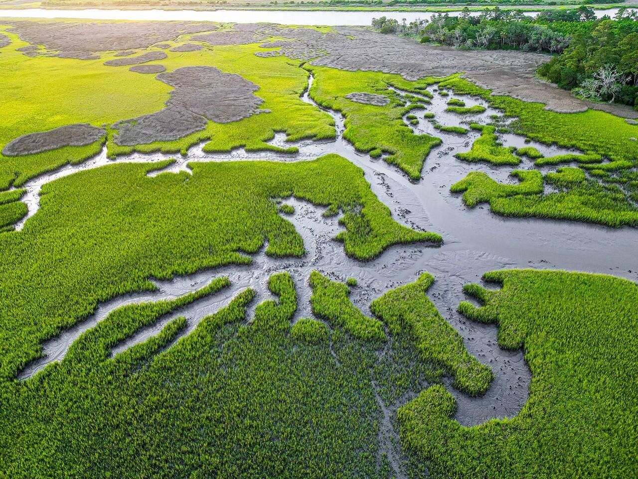 2422 Highway 174 Photo 38