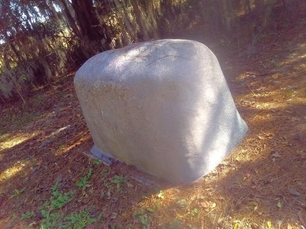 2422 Highway 174 Photo 43