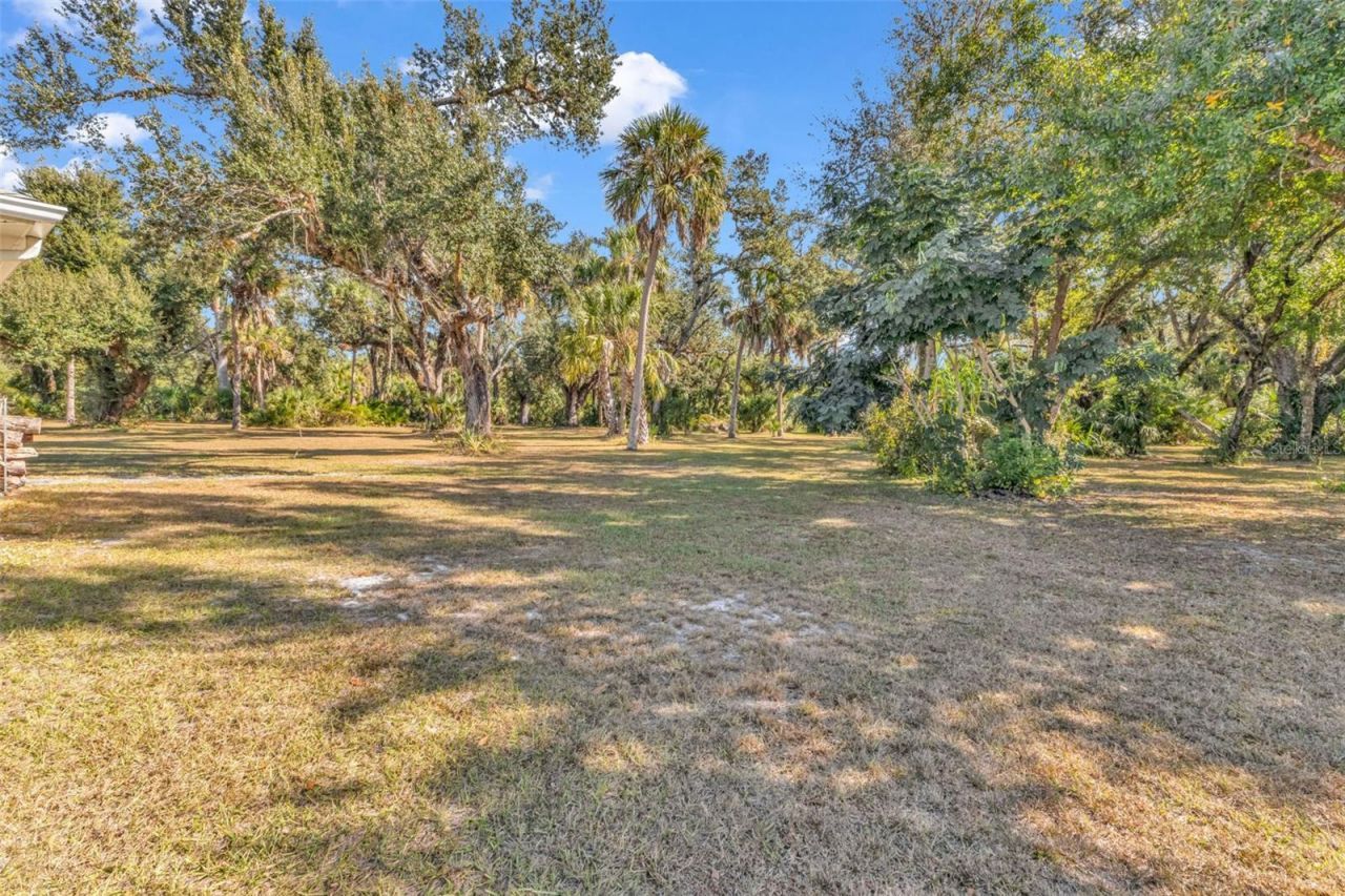10174 SW County Road 769, Arcadia, FL 34269 Photo