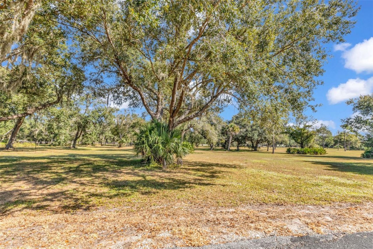 10174 SW County Road 769, Arcadia, FL 34269 Photo