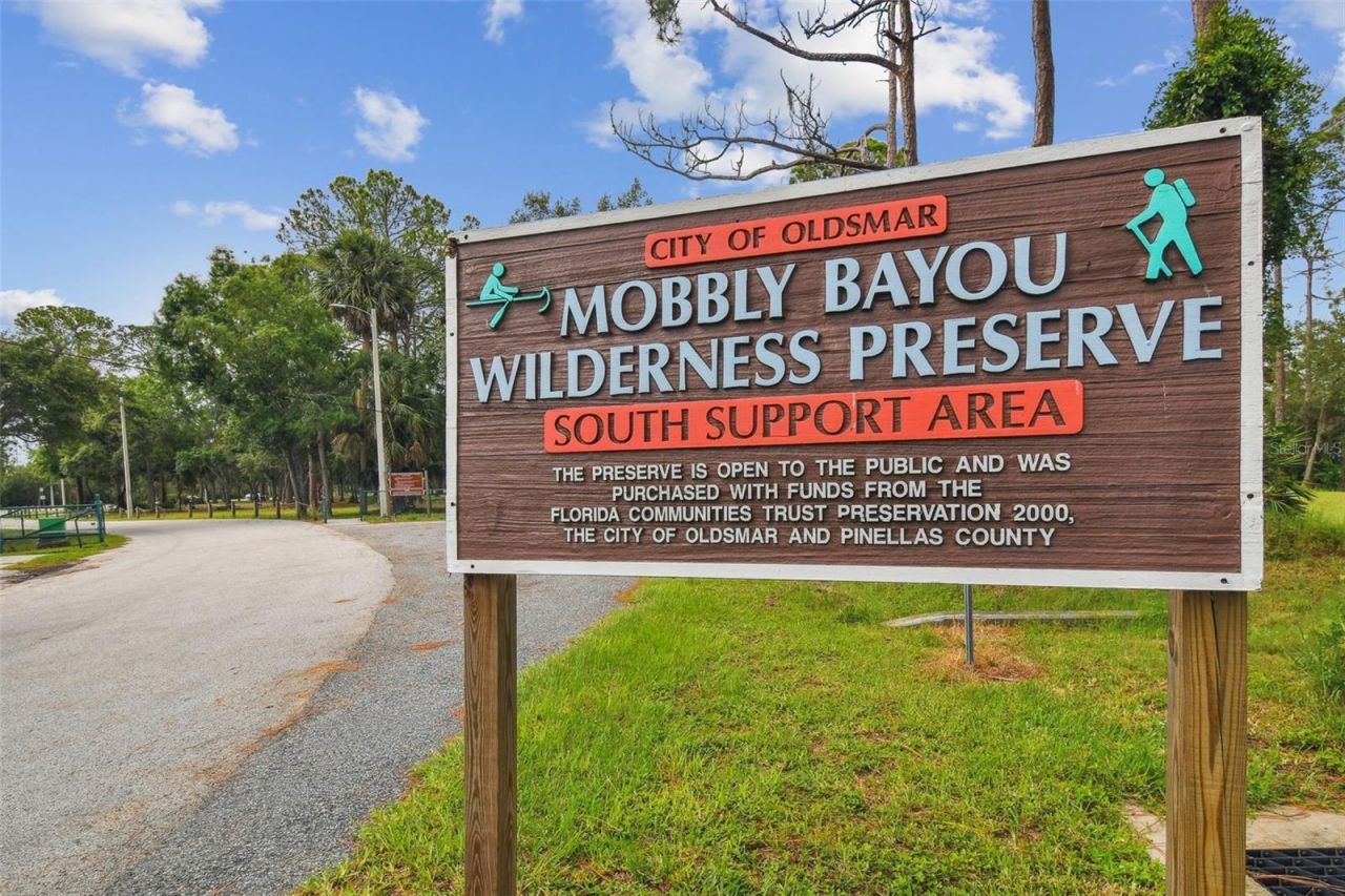 372 Coco Plum Court, Oldsmar, FL 34677 Photo