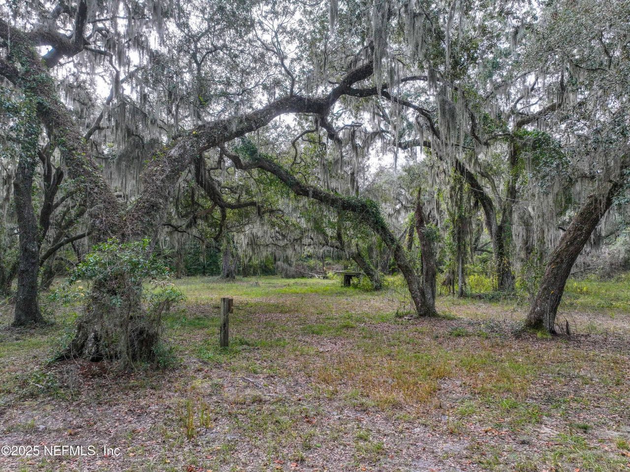 13550 County Road 13 N, Saint Augustine, FL 32092 Photo