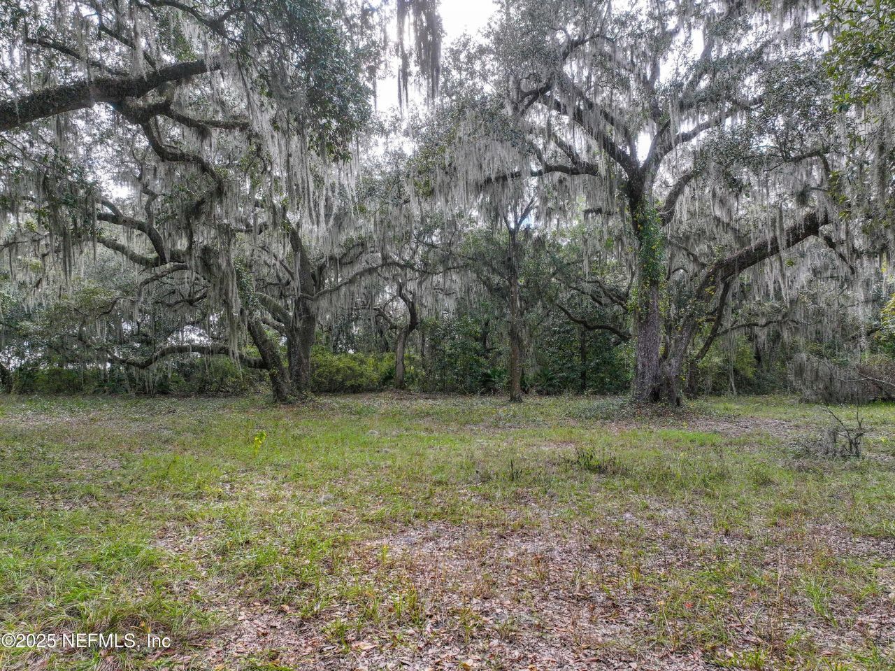 13550 County Road 13 N, Saint Augustine, FL 32092 Photo