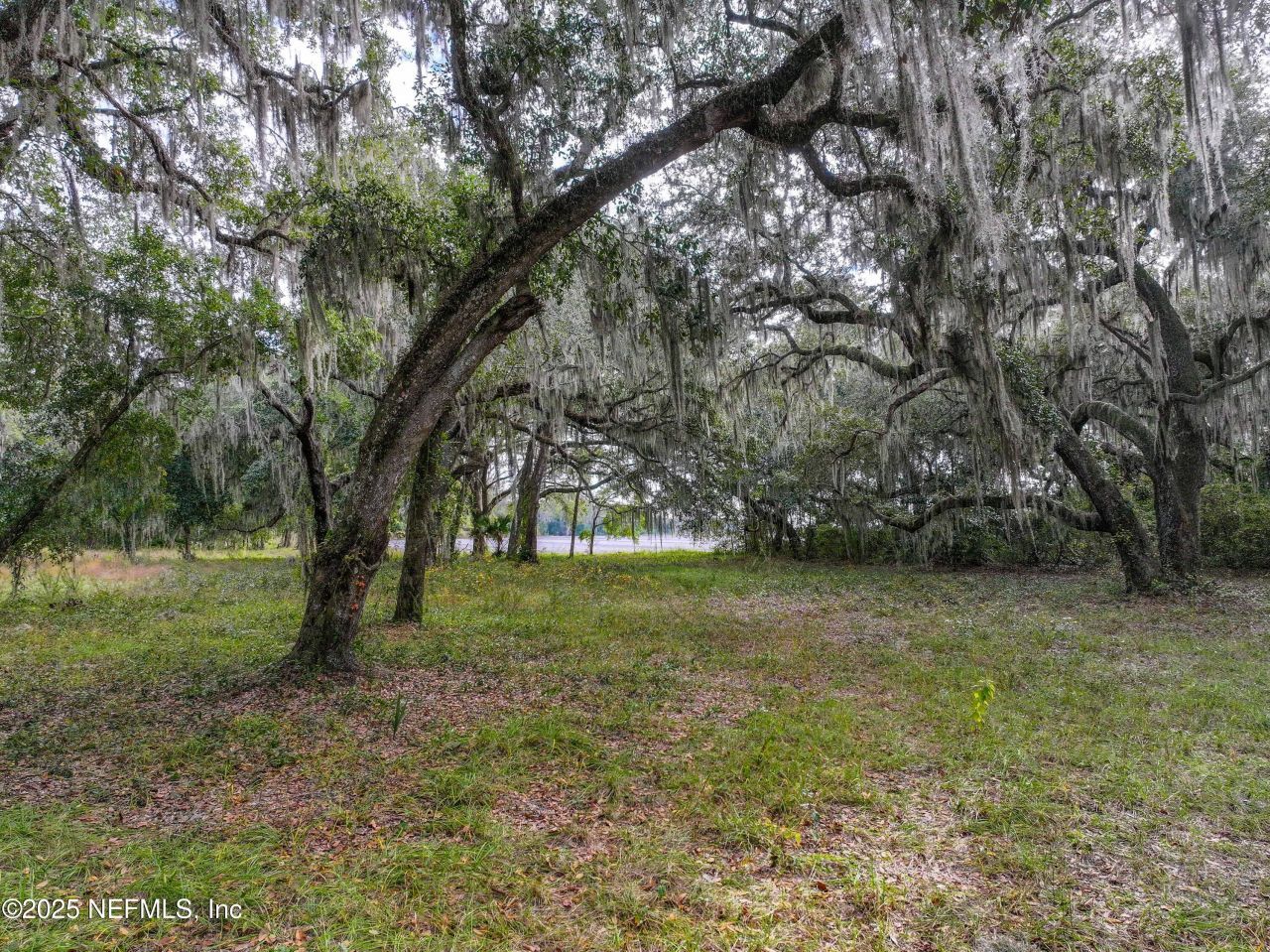 13550 County Road 13 N, Saint Augustine, FL 32092 Photo