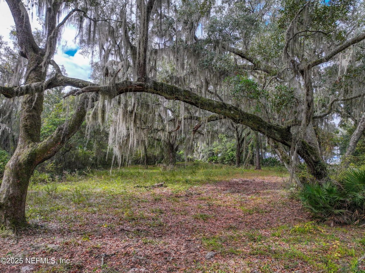 13550 County Road 13 N, Saint Augustine, FL 32092 Photo