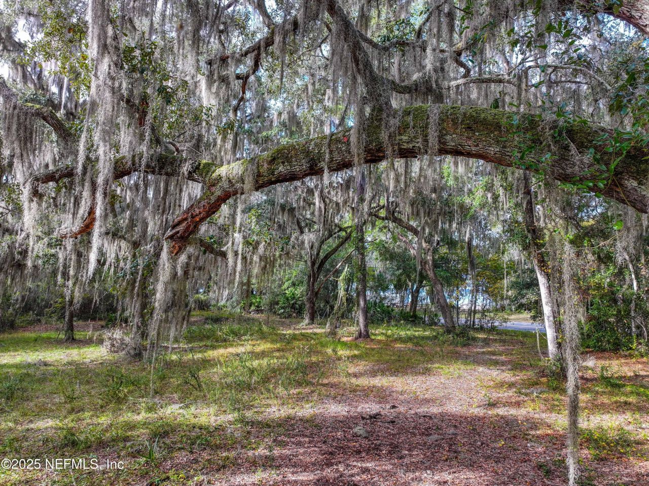 13550 County Road 13 N, Saint Augustine, FL 32092 Photo