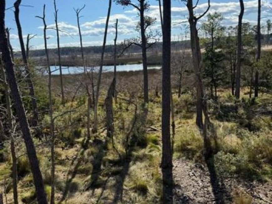 Robinson Neck Road, Taylors Island, MD 21669 Main Photo