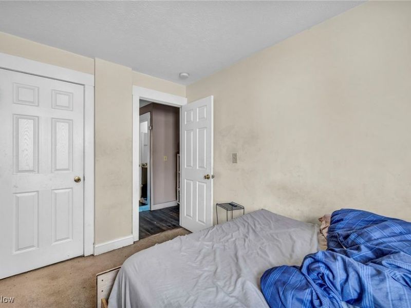 15002 Upton Avenue, Cleveland, OH 44110 Photo 21