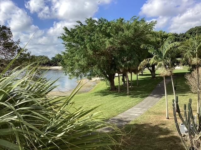 15330 SW 106th Ter, Unit 903, Miami, FL 33196 Photo