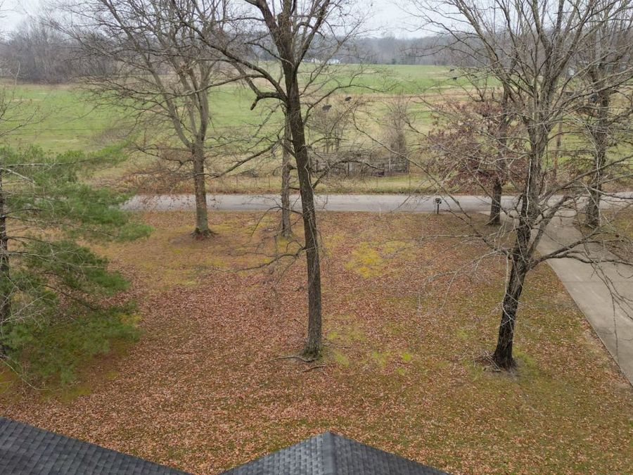 Property Image 58
