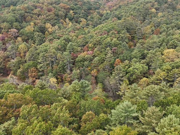 6212 Big Draft Rd, White Sulphur Springs, WV 24986