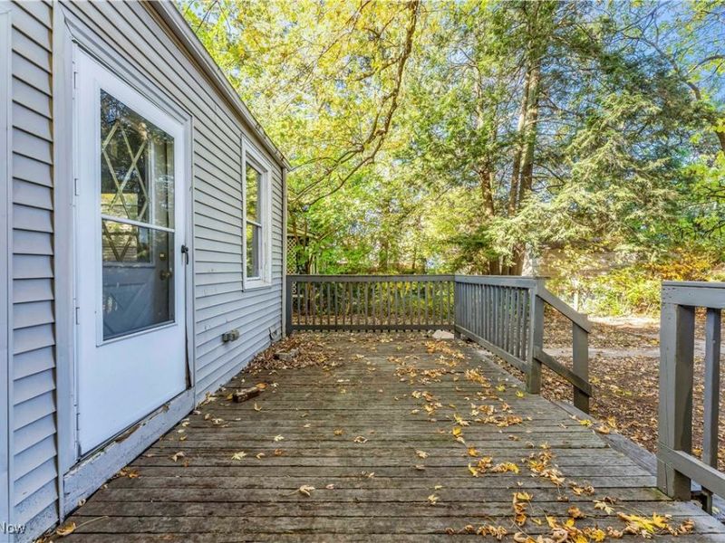 2115 W 96th Street, Cleveland, OH 44102 Photo 29