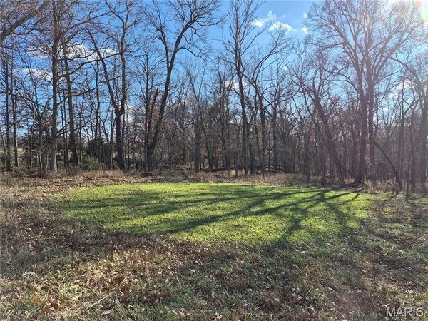 0 County Road 197 - Tract 2 (30+/- Acres), Montgomery City, MO 63361