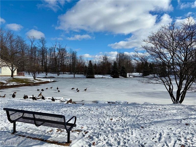 16445 Heather Lane, Unit 203, Middleburg Heights, OH 44130 Photo 20