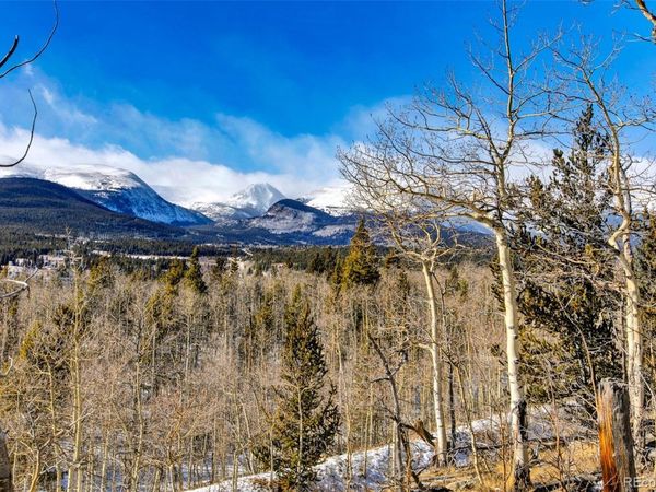 96 Dead Toad Road, Alma, CO 80420