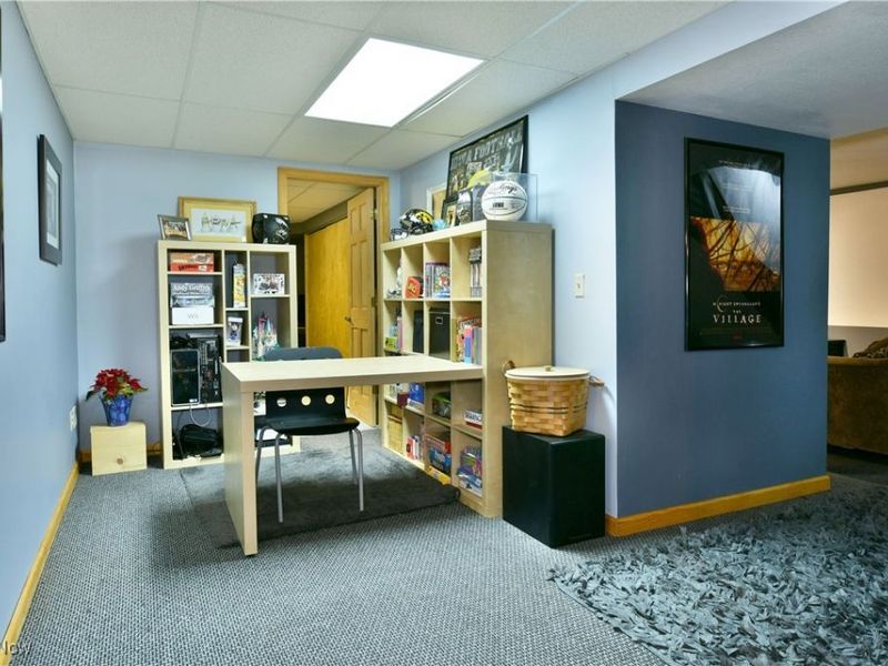 695 Carson Salt Springs Road, Warren, OH 44481 Photo 46