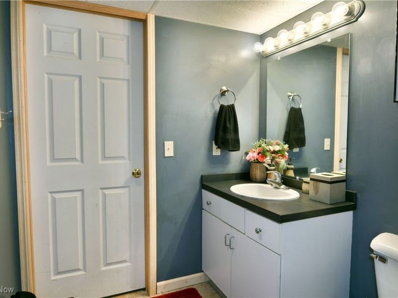 695 Carson Salt Springs Road, Warren, OH 44481 Photo 47