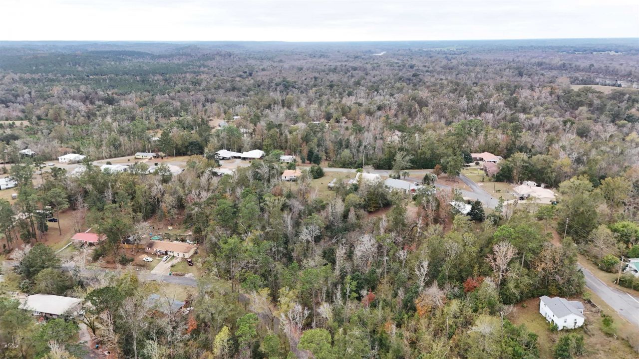 Vacant Walnut Street, Chattahoochee, FL 32324 Photo