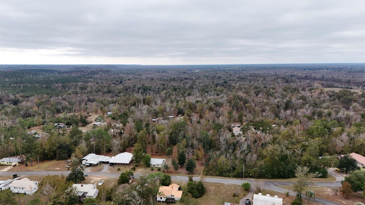 Vacant Walnut Street, Chattahoochee, FL 32324 Photo