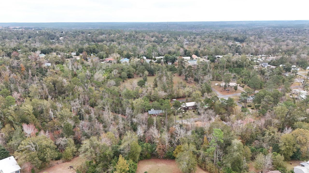 Vacant Walnut Street, Chattahoochee, FL 32324 Photo