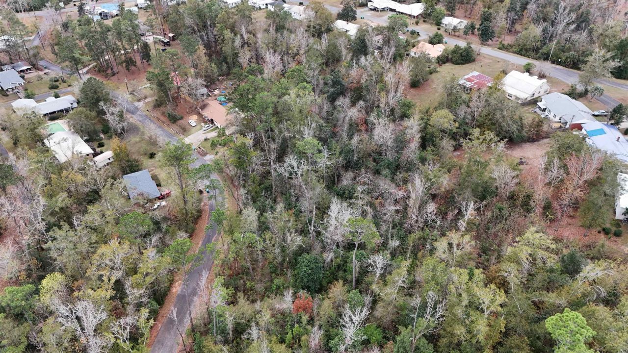 Vacant Walnut Street, Chattahoochee, FL 32324 Photo