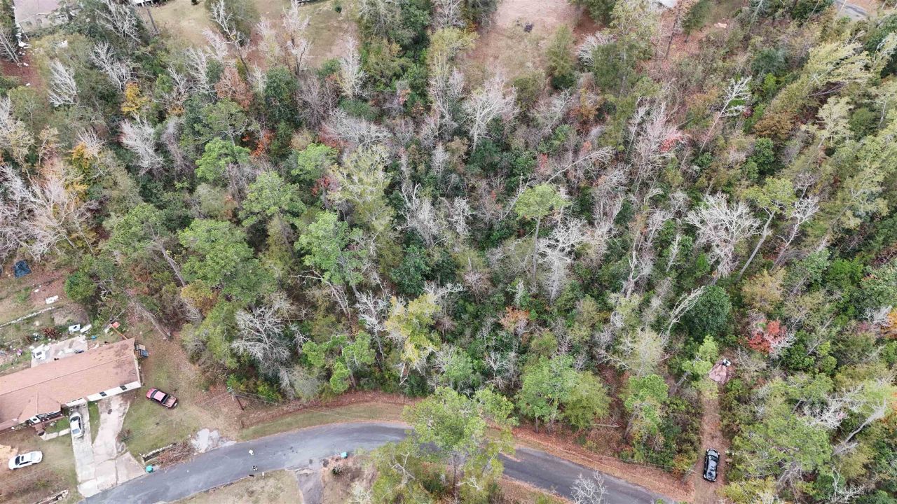 Vacant Walnut Street, Chattahoochee, FL 32324 Photo