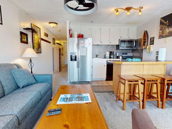 330 Mountain Lodge, Snowshoe, WV 26209