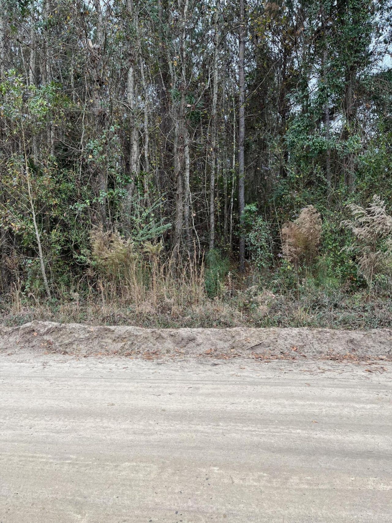 00 Ryn Street Photo 4