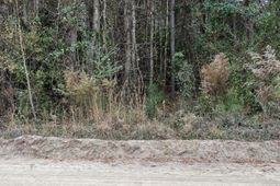 00 Ryn Street photo 4