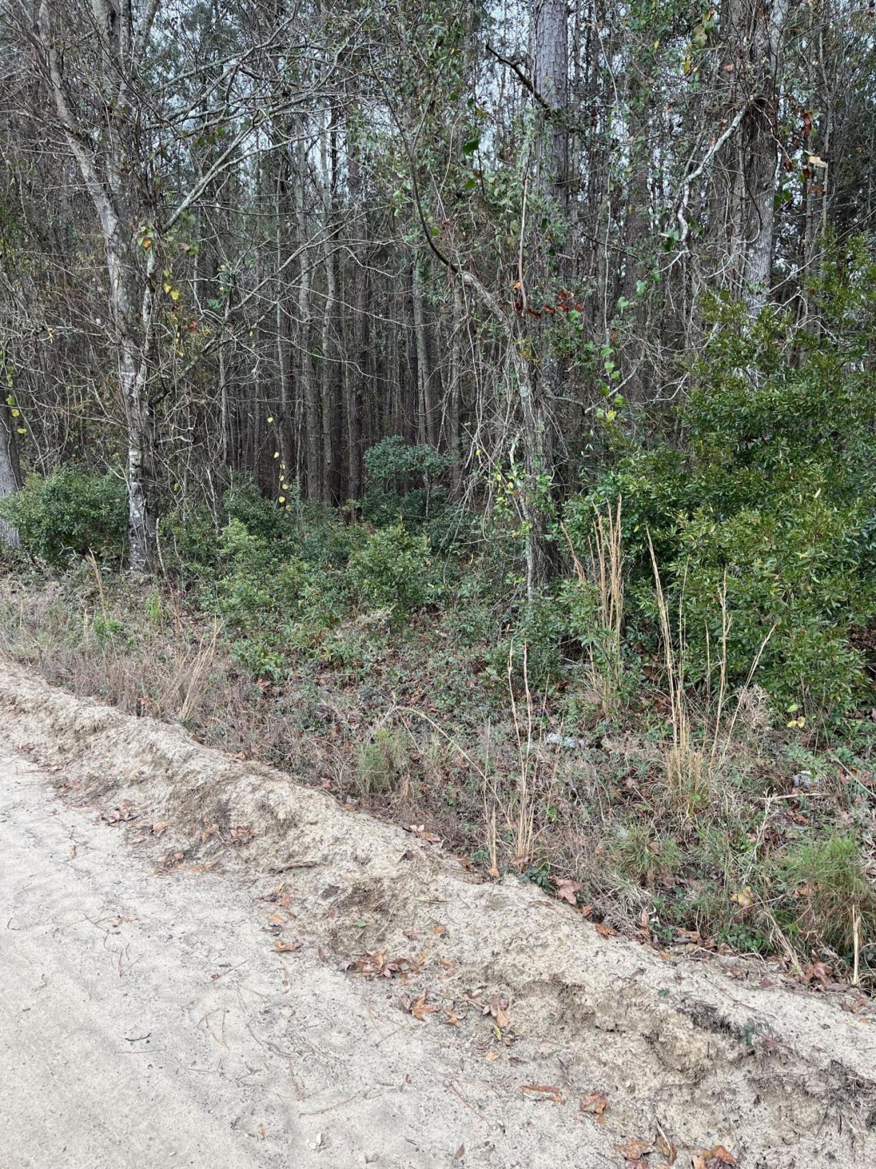 00 Ryn Street Photo 5